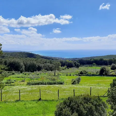 Sea Horizon Country